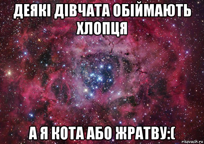 деякі дівчата обіймають хлопця а я кота або жратву:(, Мем Ты просто космос