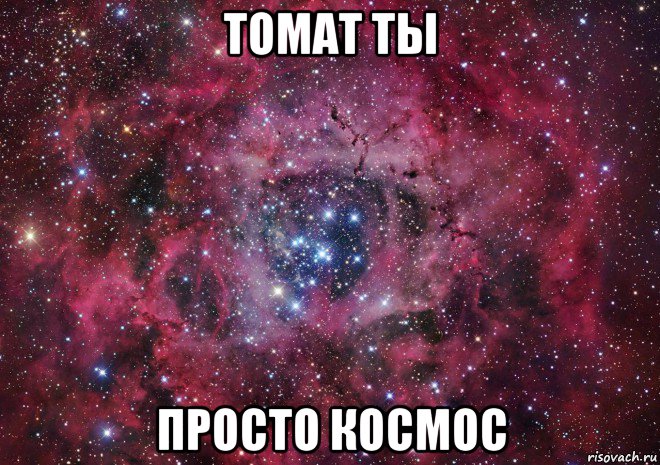 томат ты просто космос