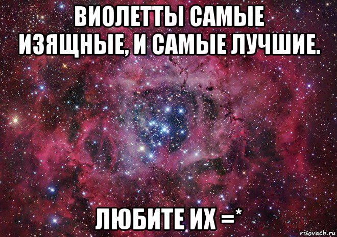 виолетты самые изящные, и самые лучшие. любите их =*, Мем Ты просто космос