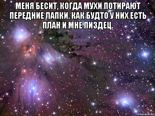 меня бесит, когда мухи потирают передние лапки. как будто у них есть план и мне пиздец. , Мем Космос