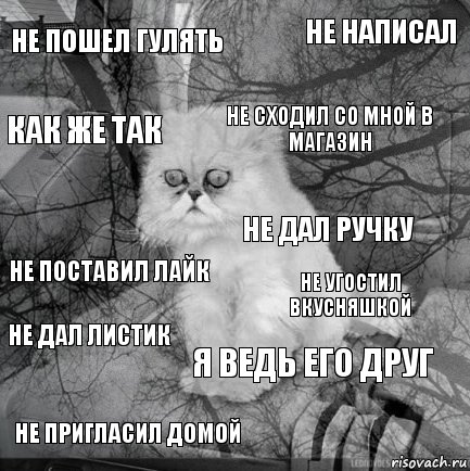 Не пошел гулять Не угостил вкусняшкой Не сходил со мной в магазин Не пригласил домой Не поставил Лайк Не написал Я ведь его друг Как же так Не дал листик Не дал ручку, Комикс  кот безысходность