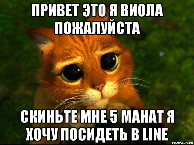 привет это я виола пожалуйста скиньте мне 5 манат я хочу посидеть в line, Мем кот из шрека