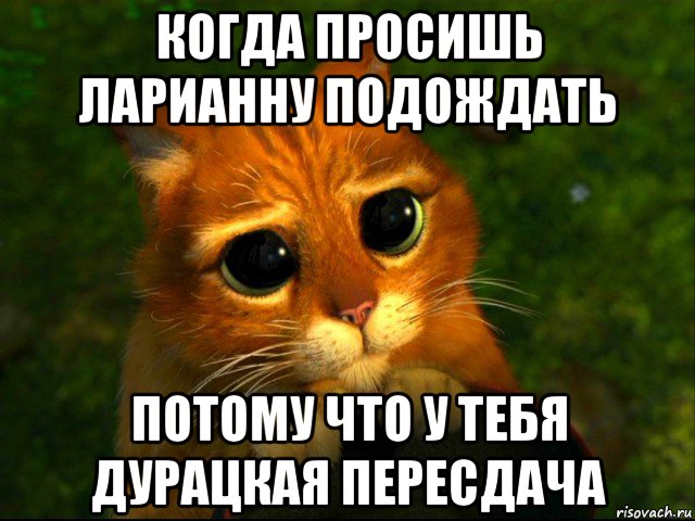 когда просишь ларианну подождать потому что у тебя дурацкая пересдача, Мем кот из шрека