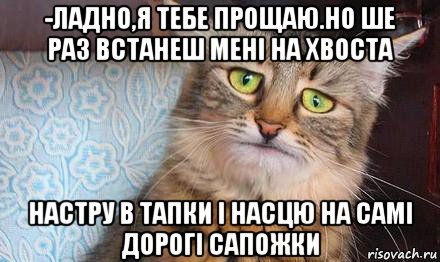 -ладно,я тебе прощаю.но ше раз встанеш мені на хвоста настру в тапки і насцю на самі дорогі сапожки