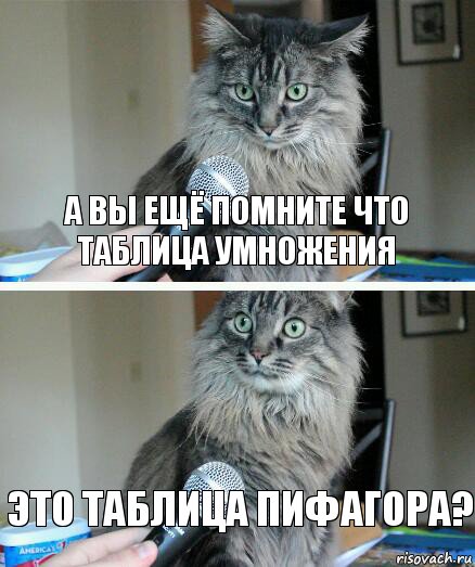 А вы ещё помните что таблица умножения Это таблица Пифагора?, Комикс  кот с микрофоном