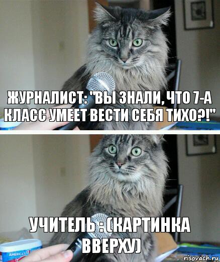 журналист: "Вы знали, что 7-А класс умеет вести себя тихо?!" учитель : (картинка вверху), Комикс  кот с микрофоном