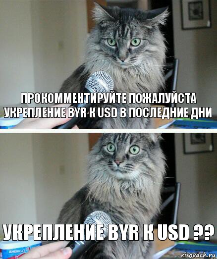 Прокомментируйте пожалуйста укрепление BYR к USD в последние дни укрепление BYR к USD ??, Комикс  кот с микрофоном