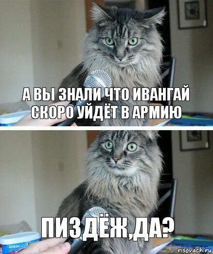 А вы знали что ИВАНГАЙ скоро уйдёт в армию Пиздёж,да?, Комикс  кот с микрофоном