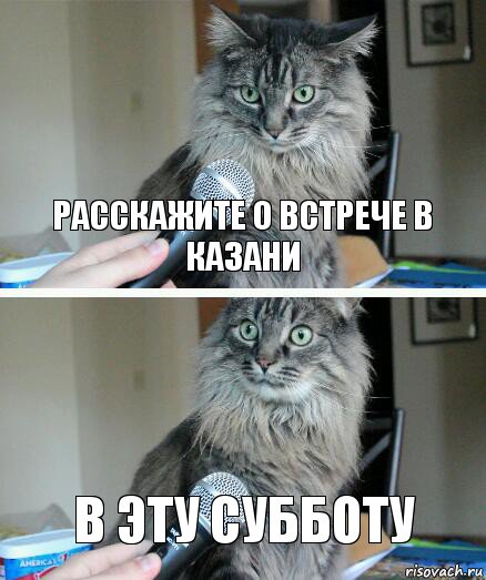 Расскажите о встрече в казани В эту субботу, Комикс  кот с микрофоном