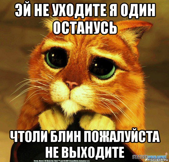 эй не уходите я один останусь чтоли блин пожалуйста не выходите, Мем Котик из Шрека