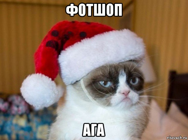 фотшоп ага, Мем   Новогодний угрюмый кот