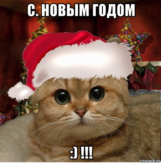 с. новым годом :) !!!, Мем Котенька