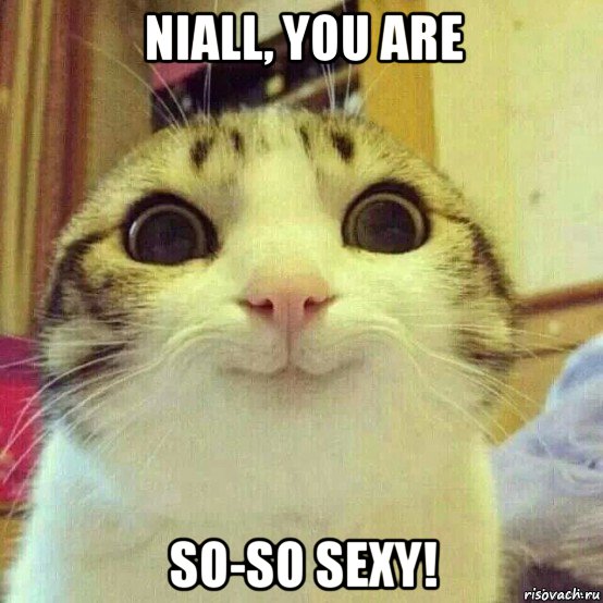 niall, you are so-so sexy!, Мем       Котяка-улыбака