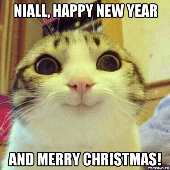 niall, happy new year and merry christmas!, Мем       Котяка-улыбака