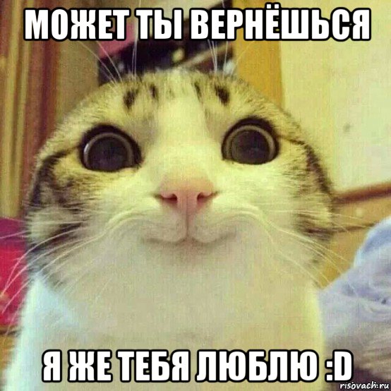 может ты вернёшься я же тебя люблю :d, Мем       Котяка-улыбака