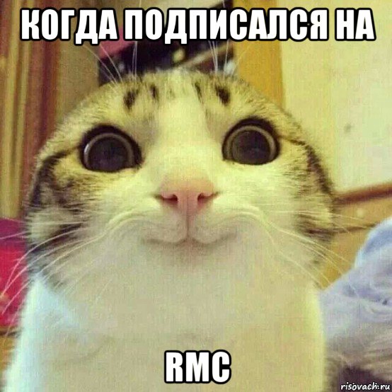 когда подписался на rmc, Мем       Котяка-улыбака