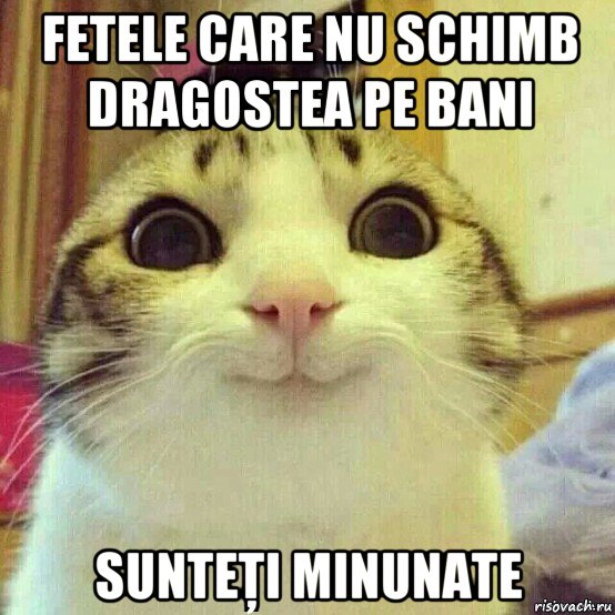 fetele care nu schimb dragostea pe bani sunteţi minunate, Мем       Котяка-улыбака