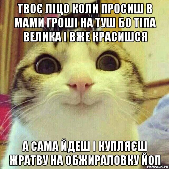 твоє ліцо коли просиш в мами гроші на туш бо тіпа велика і вже красишся а сама йдеш і купляєш жратву на обжираловку йоп, Мем       Котяка-улыбака