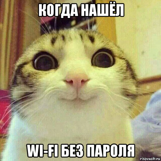 когда нашёл wi-fi без пароля, Мем       Котяка-улыбака