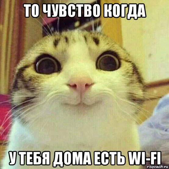 то чувство когда у тебя дома есть wi-fi, Мем       Котяка-улыбака