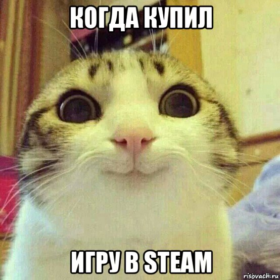 когда купил игру в steam, Мем       Котяка-улыбака