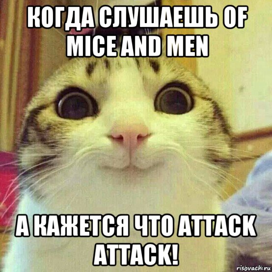 когда слушаешь of mice and men а кажется что attack attack!, Мем       Котяка-улыбака