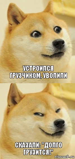 Устроился грузчиком, уволили Сказали: "Долго грузится!", Комикс   DOGE довольный