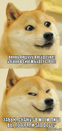 Вновь пошучу я неудачно!
Утенок в синем будет строг! Забью, скажу: "В моем лице вы потеряли SAD DOGE!", Комикс   DOGE довольный