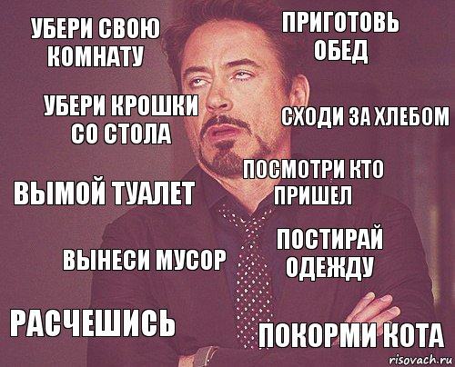 Убери свою комнату Приготовь обед Вымой туалет Расчешись Постирай одежду Посмотри кто пришел Вынеси мусор Покорми кота Убери крошки со стола Сходи за хлебом, Комикс мое лицо