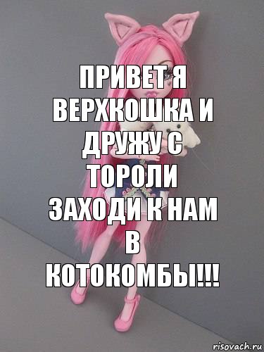 ПРИВЕТ Я ВЕРХКОШКА И ДРУЖУ С ТОРОЛИ ЗАХОДИ К НАМ В КОТОКОМБЫ!!!, Комикс монстер хай новая ученица