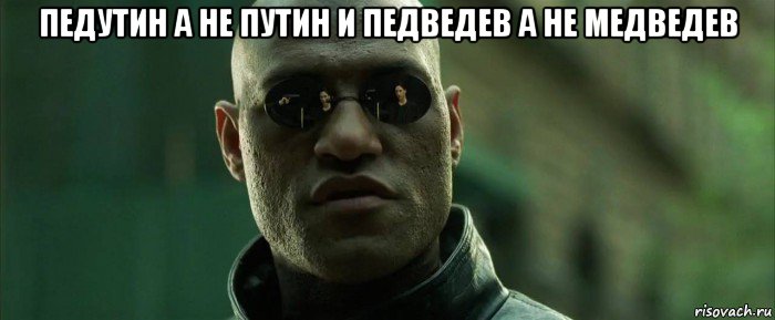 педутин а не путин и педведев а не медведев , Мем  морфеус