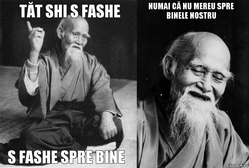 tăt shi s fashe s fashe spre bine numai că nu mereu spre binele nostru , Комикс Мудрец-монах (4 зоны)