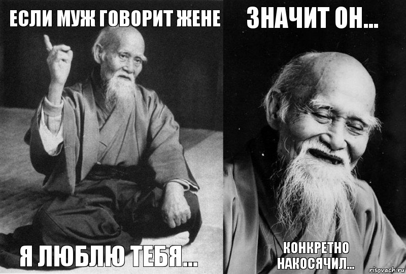 Если муж говорит жене я люблю тебя... Значит он... Конкретно накосячил..., Комикс Мудрец-монах (4 зоны)