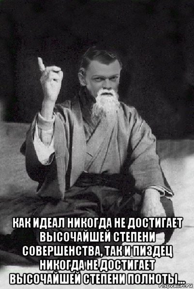  как идеал никогда не достигает высочайшей степени совершенства, так и пиздец никогда не достигает высочайшей степени полноты..., Мем Мудрий Виталька