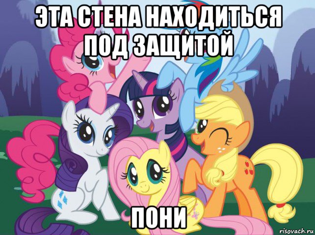 эта стена находиться под защитой пони, Мем My little pony