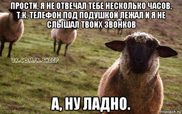 прости, я не отвечал тебе несколько часов, т.к. телефон под подушкой лежал и я не слышал твоих звонков а, ну ладно., Мем  Наивная Овца