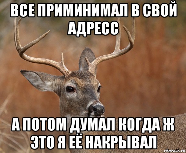 все приминимал в свой адресс а потом думал когда ж это я её накрывал, Мем  Наивный Олень v2