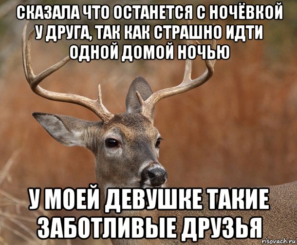 сказала что останется с ночёвкой у друга, так как страшно идти одной домой ночью у моей девушке такие заботливые друзья, Мем  Наивный Олень v2