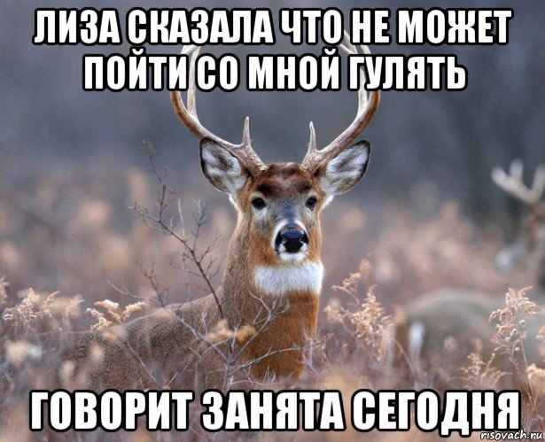 лиза сказала что не может пойти со мной гулять говорит занята сегодня, Мем   Наивный олень