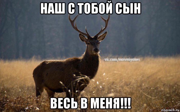 наш с тобой сын весь в меня!!!