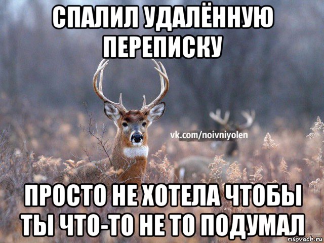 спалил удалённую переписку просто не хотела чтобы ты что-то не то подумал