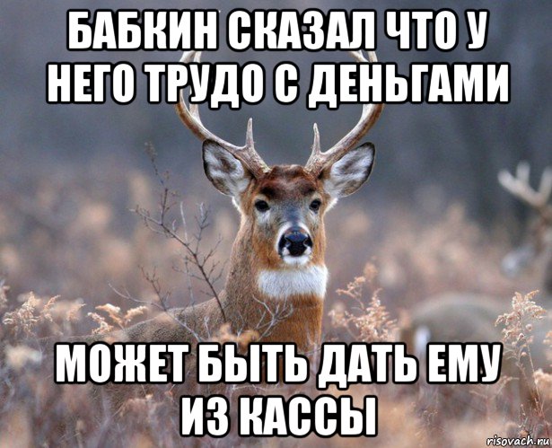 бабкин сказал что у него трудо с деньгами может быть дать ему из кассы, Мем   Наивный олень