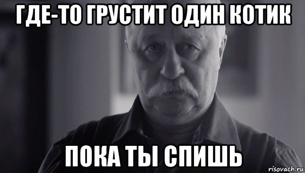 где-то грустит один котик пока ты спишь, Мем Не огорчай Леонида Аркадьевича