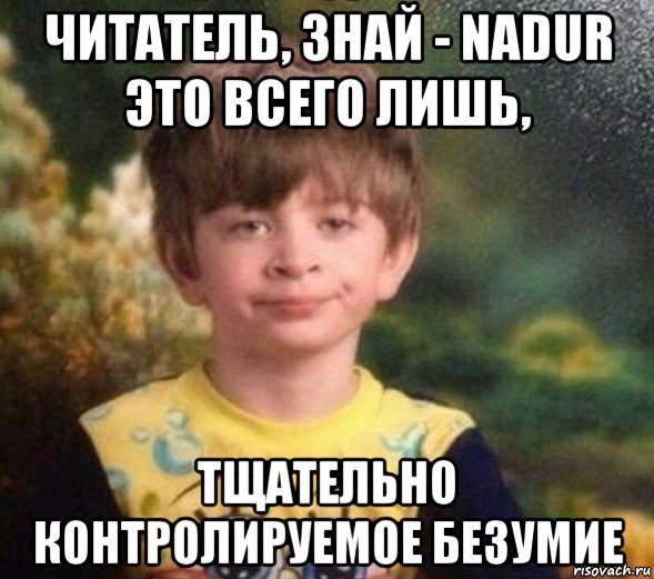 читатель, знай - nadur это всего лишь, тщательно контролируемое безумие, Мем Недовольный пацан