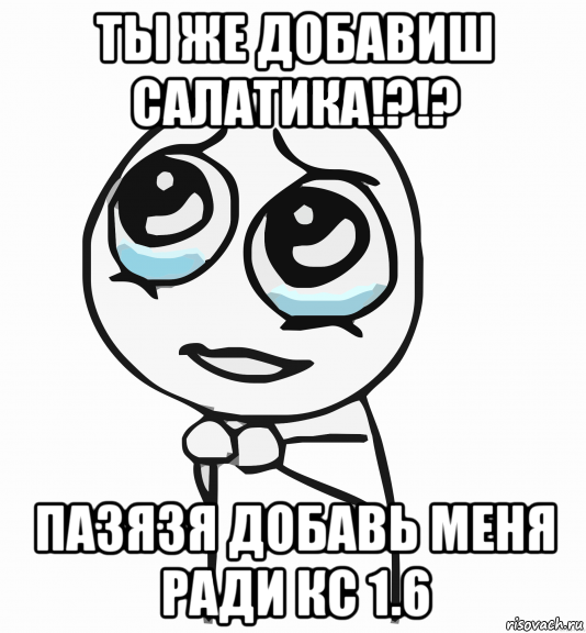 ты же добавиш салатика!?!? пазязя добавь меня ради кс 1.6, Мем  ну пожалуйста (please)