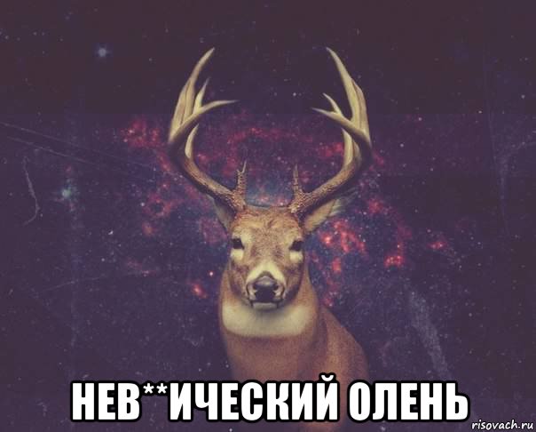  нев**ический олень