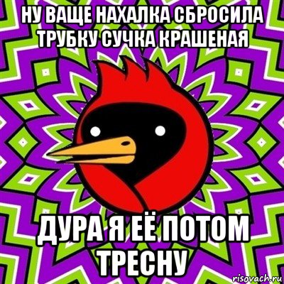 ну ваще нахалка сбросила трубку сучка крашеная дура я её потом тресну, Мем Омская птица