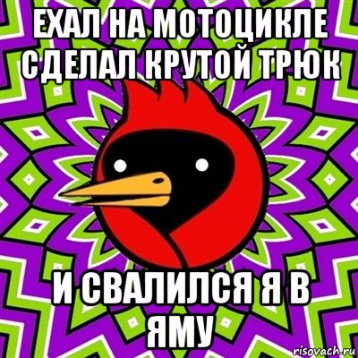 ехал на мотоцикле сделал крутой трюк и свалился я в яму, Мем Омская птица