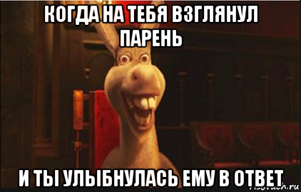 когда на тебя взглянул парень и ты улыбнулась ему в ответ, Мем Осел из Шрека