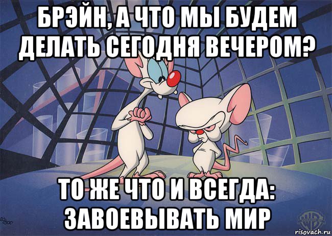 брэйн, а что мы будем делать сегодня вечером? то же что и всегда: завоевывать мир, Мем ПИНКИ И БРЕЙН